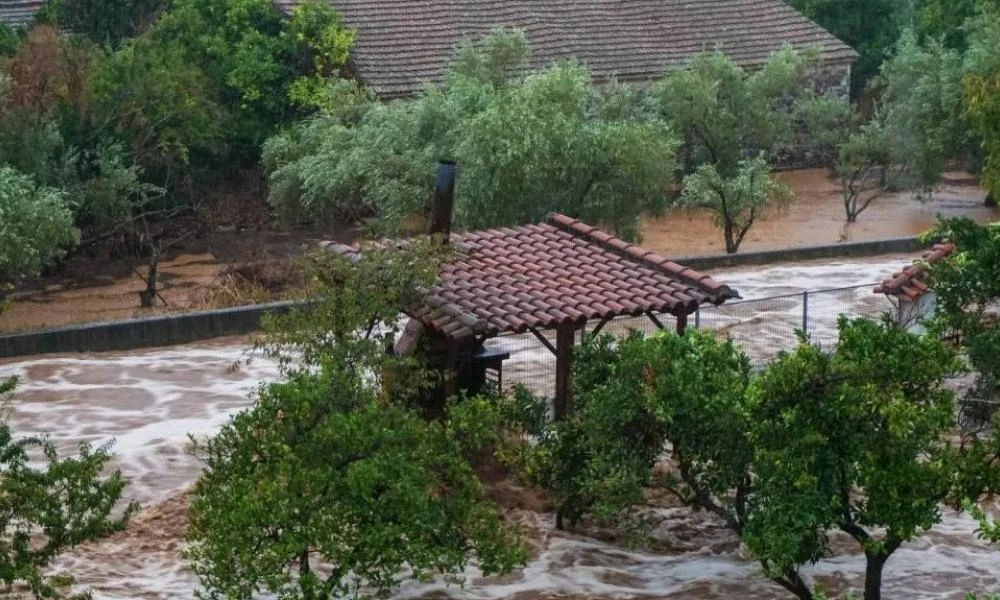  Πήλιο: Τρομακτικές εικόνες από τους χειμάρρους- «Πνίγουν» αυτοκίνητα στο κεντρικό πάρκινγκ Μακρινίτσας (βίντεο)